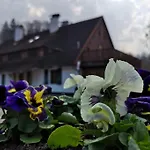 Rony - In The Middle Of Nature Пшесека