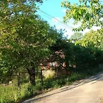 Rony - In The Middle Of Nature *