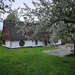 Rony - In The Middle Of Nature