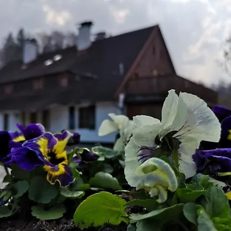 Rony - In The Middle Of Nature Przesieka