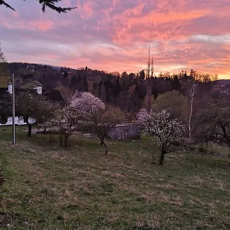 Rony - In The Middle Of Nature