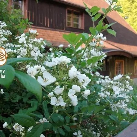 Vakantiehuis Rony - In The Middle Of Nature *