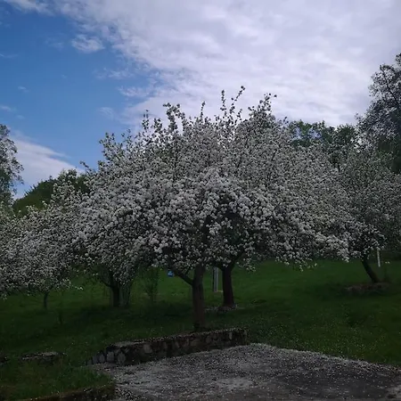 Vakantiehuis Rony - In The Middle Of Nature *