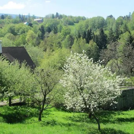 Vakantiehuis Rony - In The Middle Of Nature