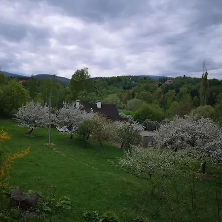 Vakantiehuis Rony - In The Middle Of Nature Przesieka