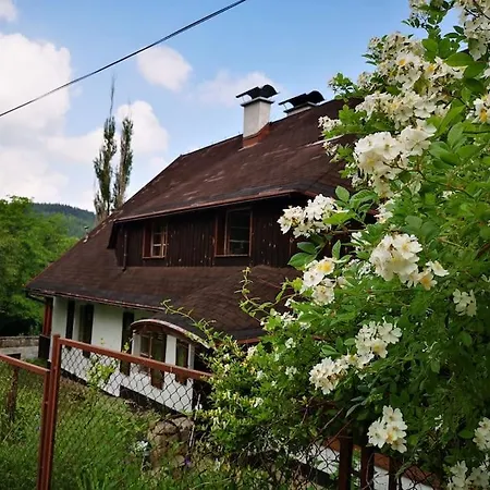 Rony - In The Middle Of Nature Vakantiehuis Przesieka