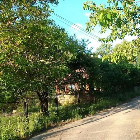 Rony - In The Middle Of Nature *