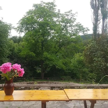 Vakantiehuis Rony - In The Middle Of Nature