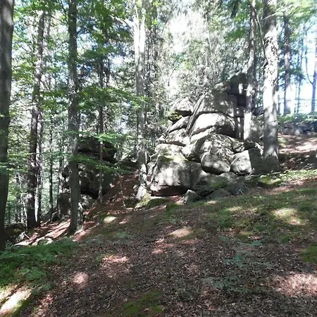 Vakantiehuis Rony - In The Middle Of Nature Przesieka