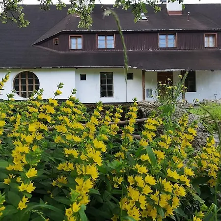 Rony - In The Middle Of Nature Vakantiehuis