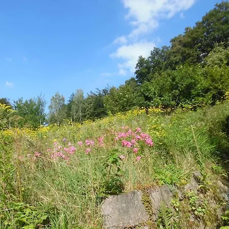 Rony - In The Middle Of Nature Vakantiehuis *