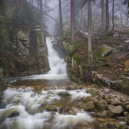 Vakantiehuis Rony - In The Middle Of Nature Przesieka