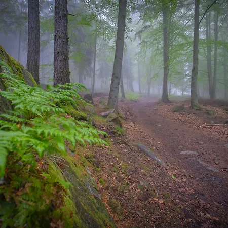 Vakantiehuis Rony - In The Middle Of Nature *