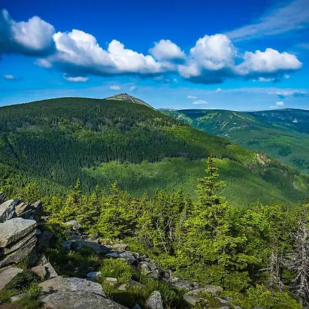 Vakantiehuis Rony - In The Middle Of Nature Przesieka