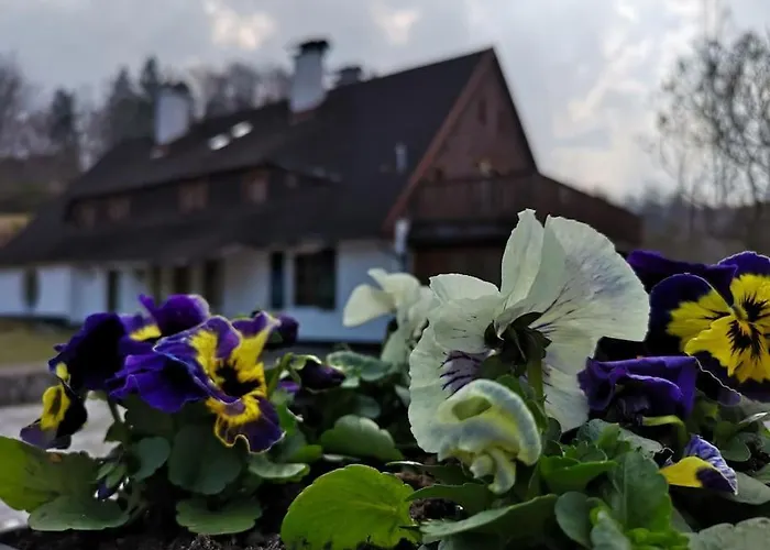 Rony - In The Middle Of Nature プシェシェカ