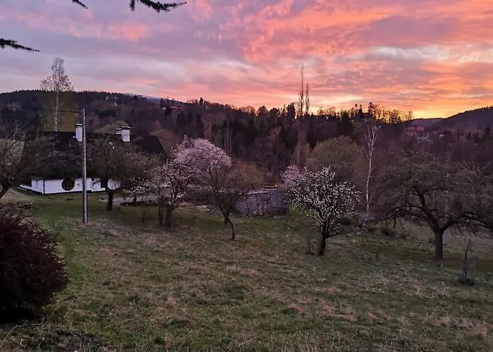 Rony - In The Middle Of Nature