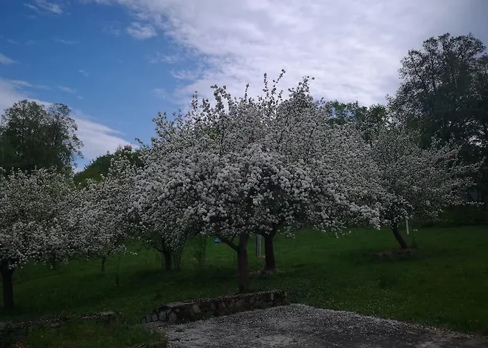 別荘 Rony - In The Middle Of Nature *