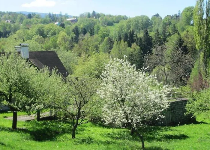 別荘 Rony - In The Middle Of Nature