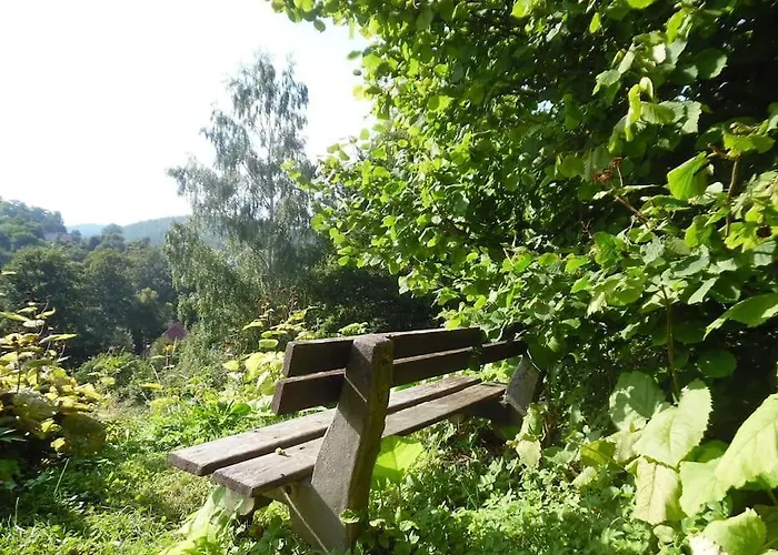 別荘 Rony - In The Middle Of Nature *