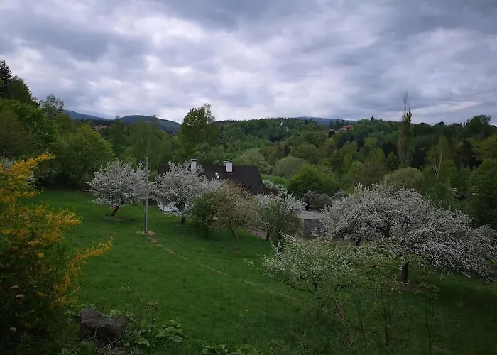 別荘 Rony - In The Middle Of Nature プシェシェカ