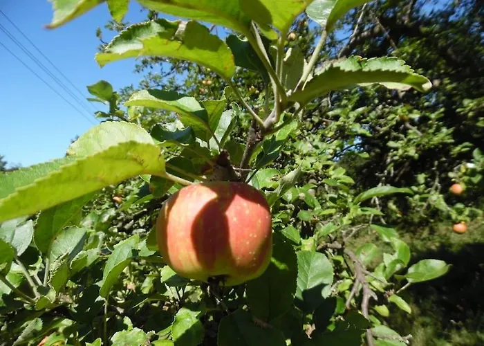 Rony - In The Middle Of Nature 別荘