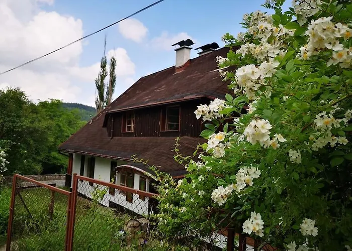 Rony - In The Middle Of Nature 別荘 プシェシェカ