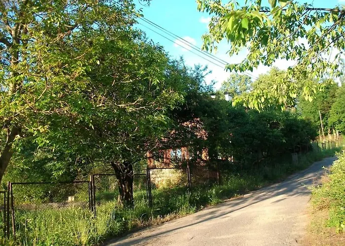 Rony - In The Middle Of Nature *