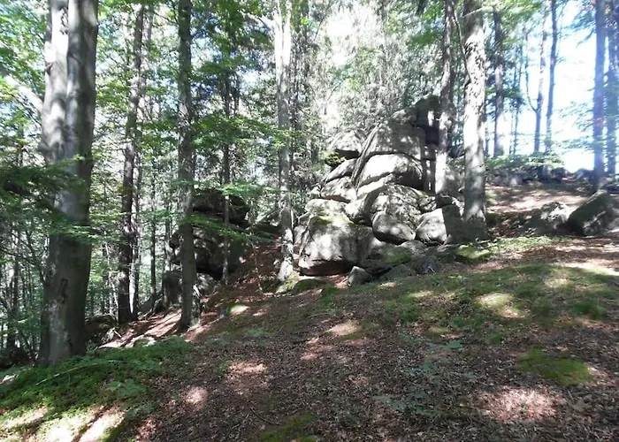 別荘 Rony - In The Middle Of Nature プシェシェカ