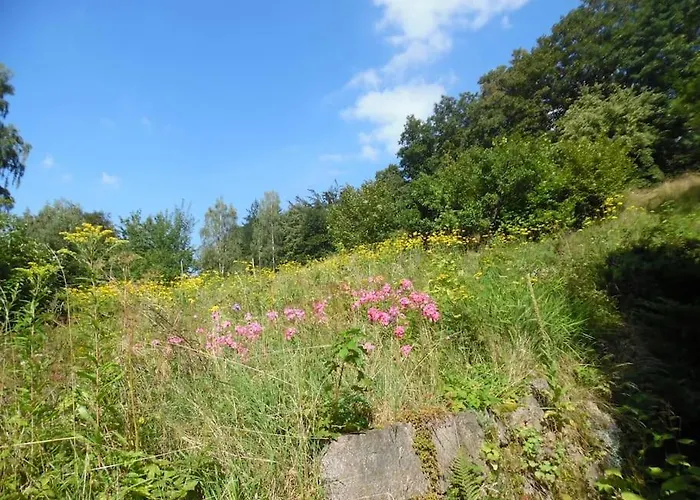 Rony - In The Middle Of Nature 別荘 *