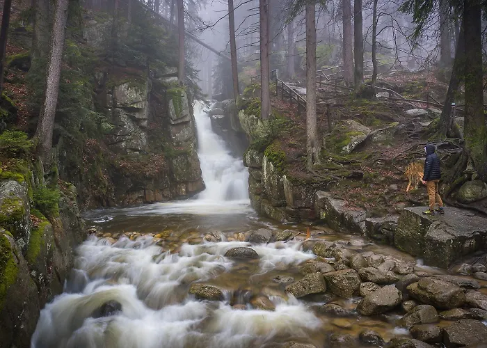 別荘 Rony - In The Middle Of Nature プシェシェカ