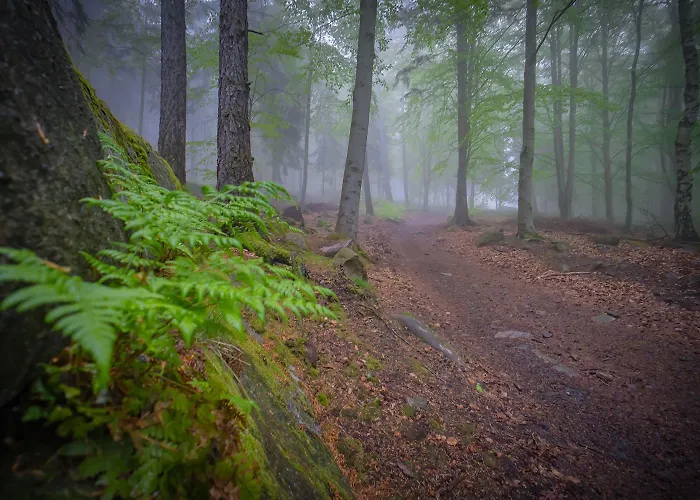 別荘 Rony - In The Middle Of Nature *