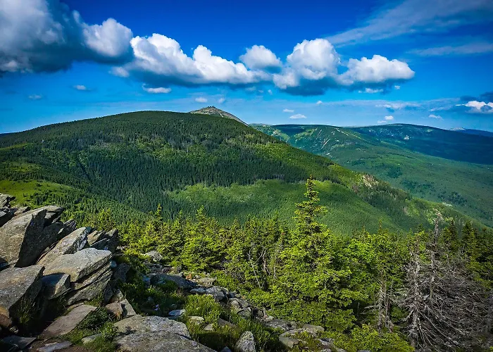 別荘 Rony - In The Middle Of Nature プシェシェカ